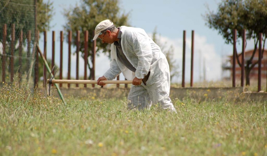 lavori_socialmente_utili